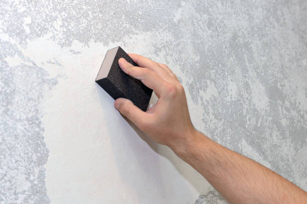 Best Black Mold Removal  in White Hall, AR