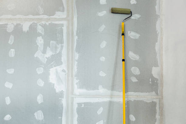 Best Residential Mold Inspection & Testing  in White Hall, AR