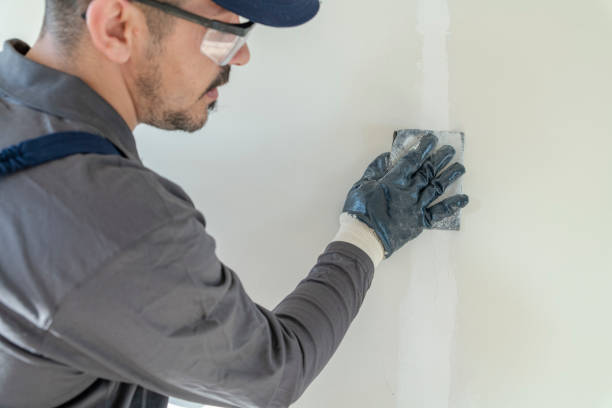 Best Mold Remediation for Healthcare Facilities  in White Hall, AR