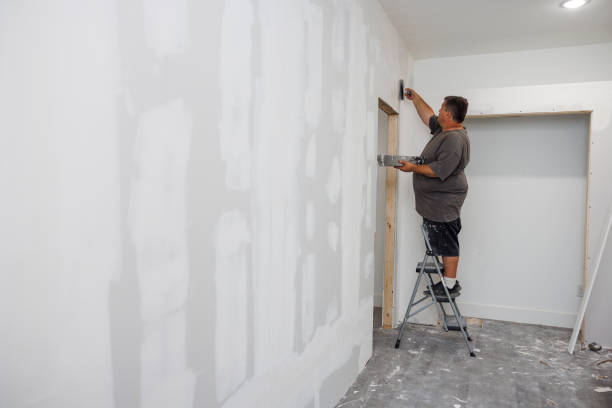 Best Industrial Mold Remediation  in White Hall, AR