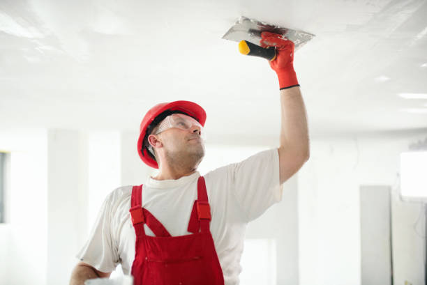 Best Commercial Mold Inspection  in White Hall, AR