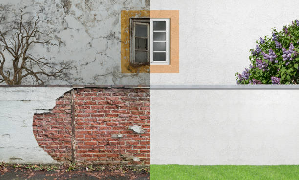 Best Emergency Mold Remediation  in White Hall, AR